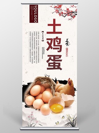 简约大气传统美食美味土鸡蛋海报设计美食模板
